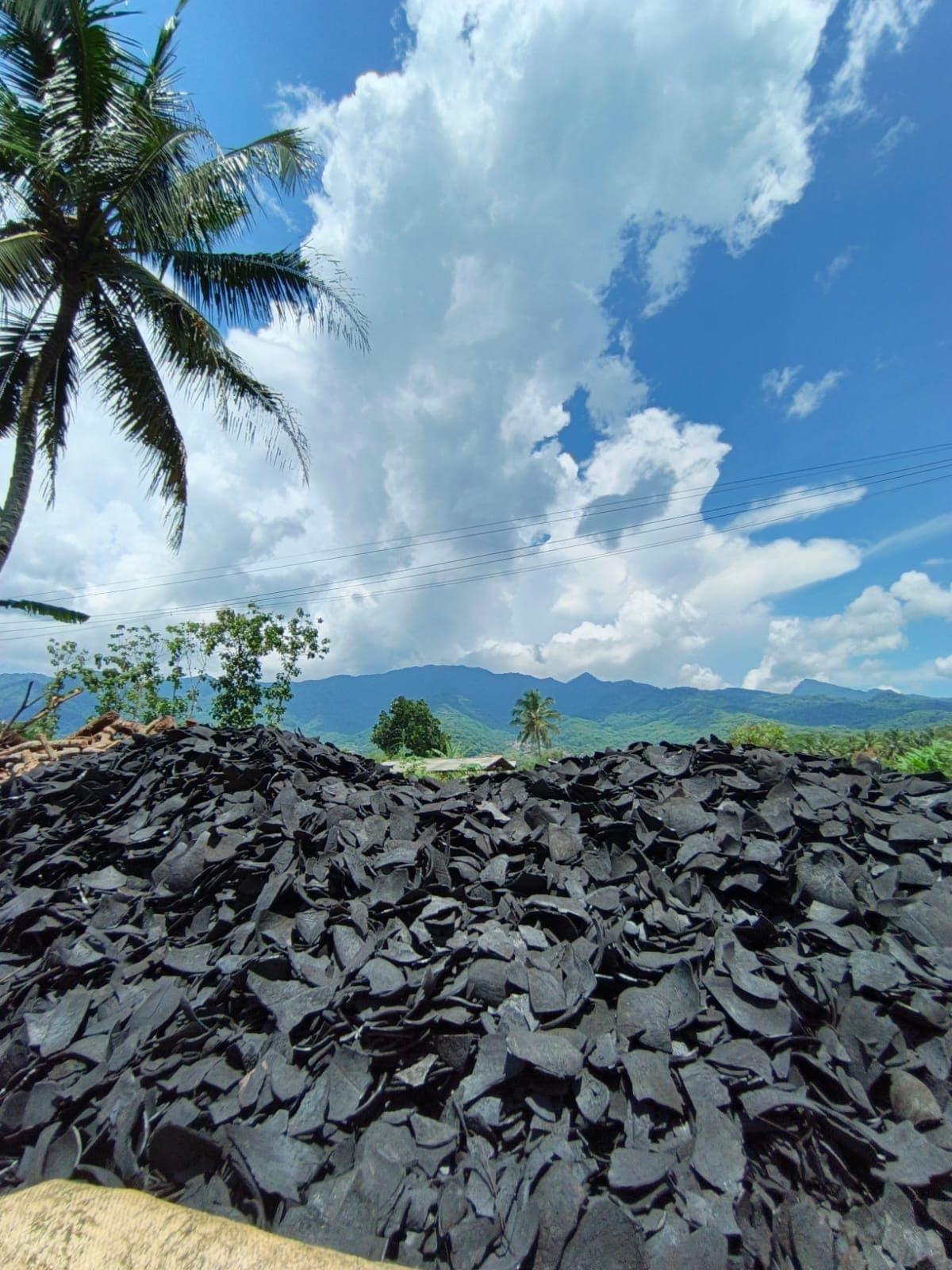 Coconut shell charcoal yard at Indonesian production site